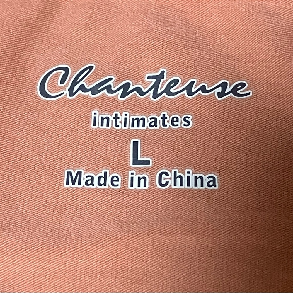 Chanteuse Intimates Lace Trim Robe - Picture 6 of 8